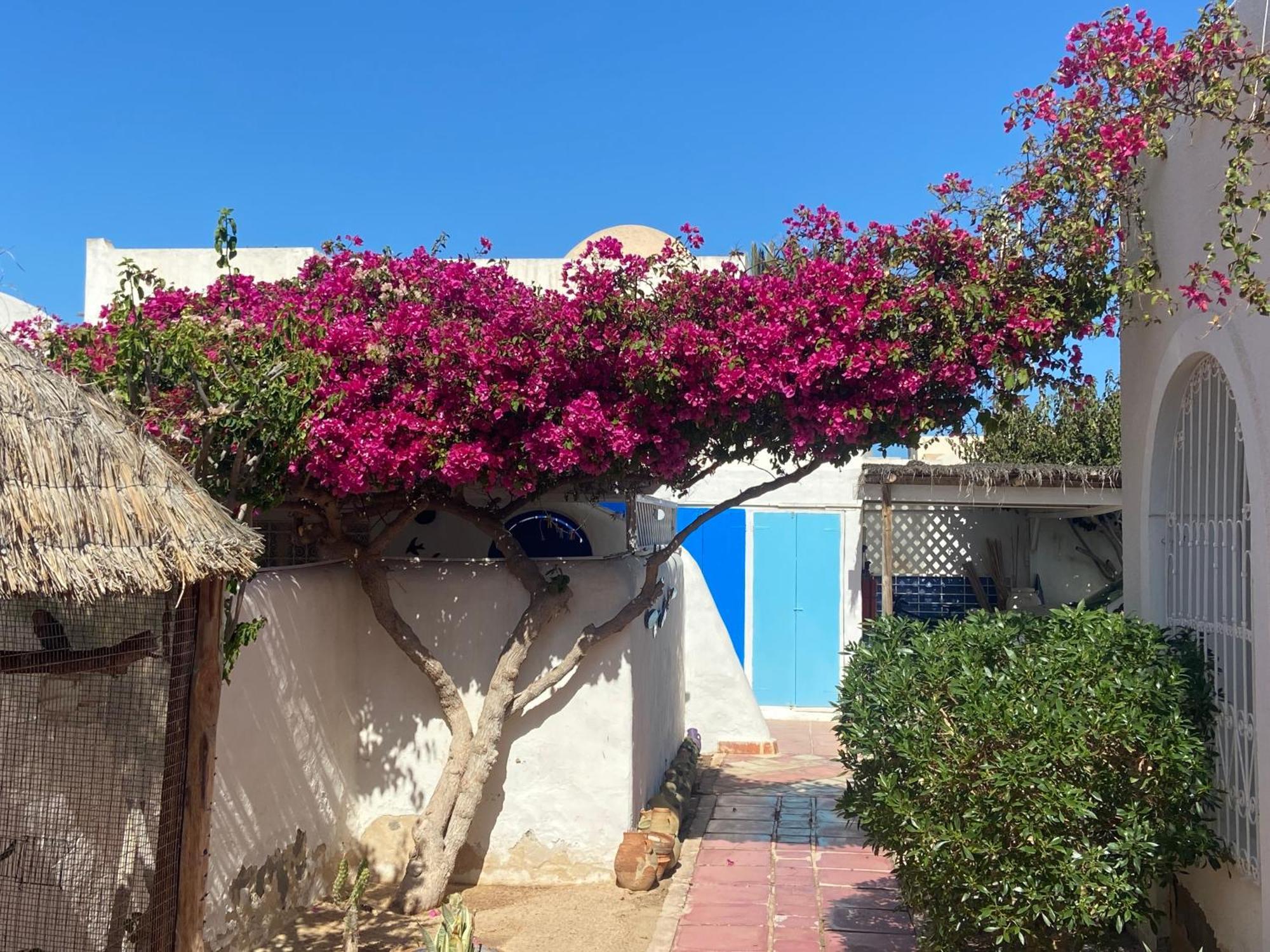 Residence Dar Yasmina Mezraia Exteriér fotografie
